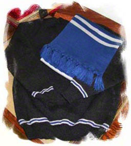 Ravenclaw House Sweaters and scarves harry potter house sweaters - poa school sweater in blue and silver